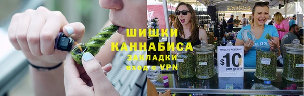ешки Алексин