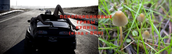 СК Абинск