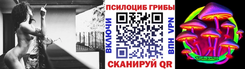 Псилоцибиновые грибы прущие грибы  Дубовка 